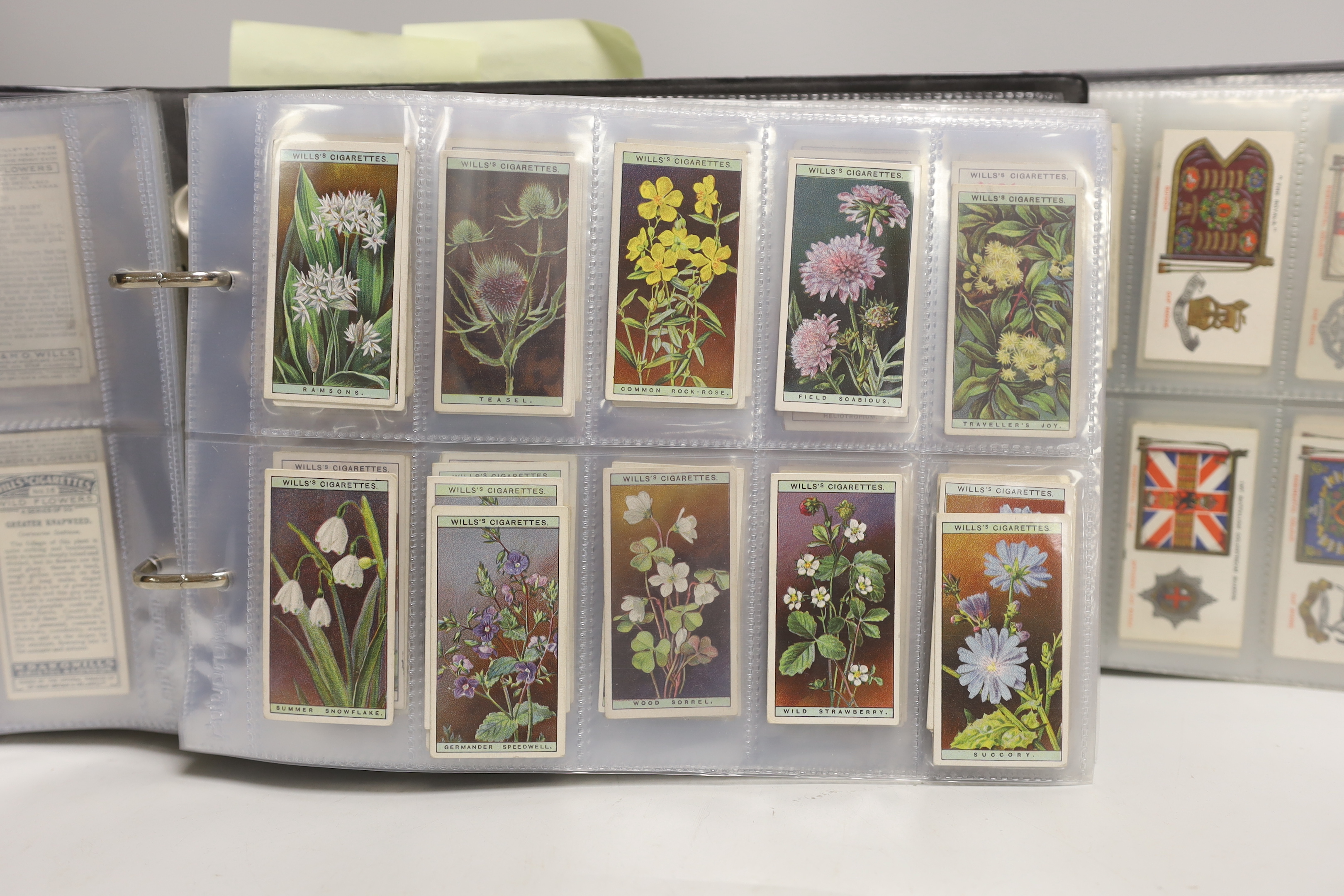 A collection of cigarette cards, some arranged in albums including Wills